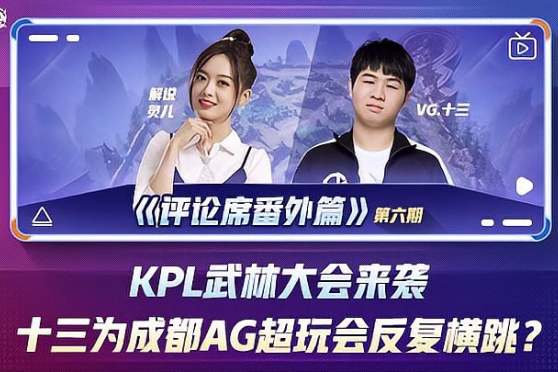 的评价无疑